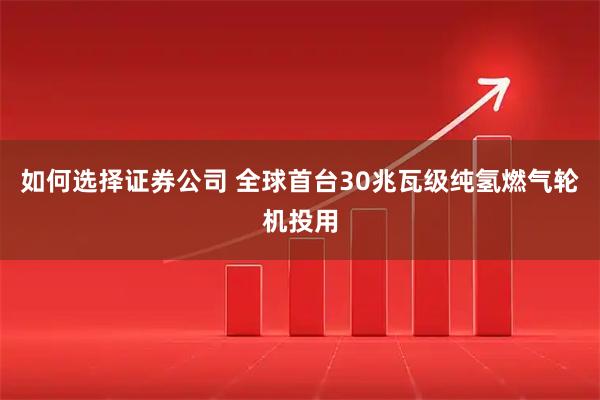 如何选择证券公司 全球首台30兆瓦级纯氢燃气轮机投用