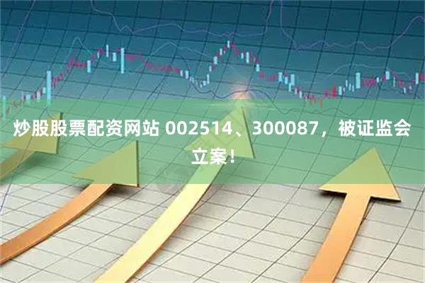 炒股股票配资网站 002514、300087，被证监会立案！